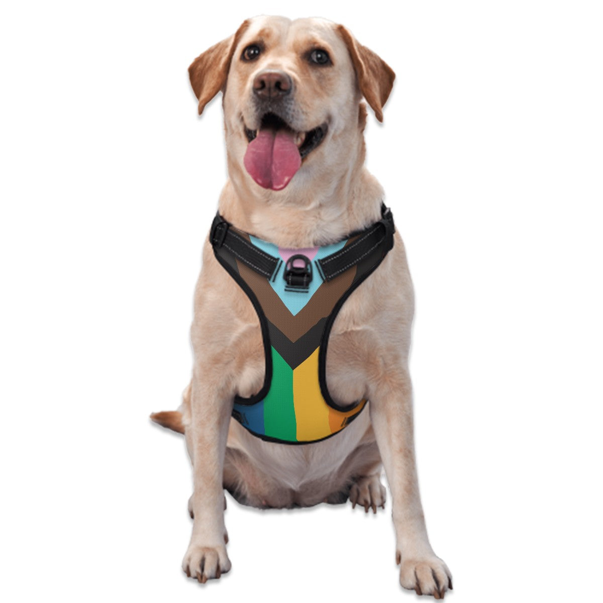 Dog & Cat Harness with Pride Flag | Leash & Walks | Love & Acceptance