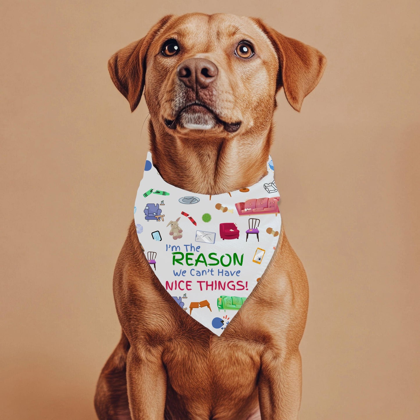 Funny Reasons We Can't Have Nice Things - I Woof You, Large Dog Bandana for Fashion at the Dog Park