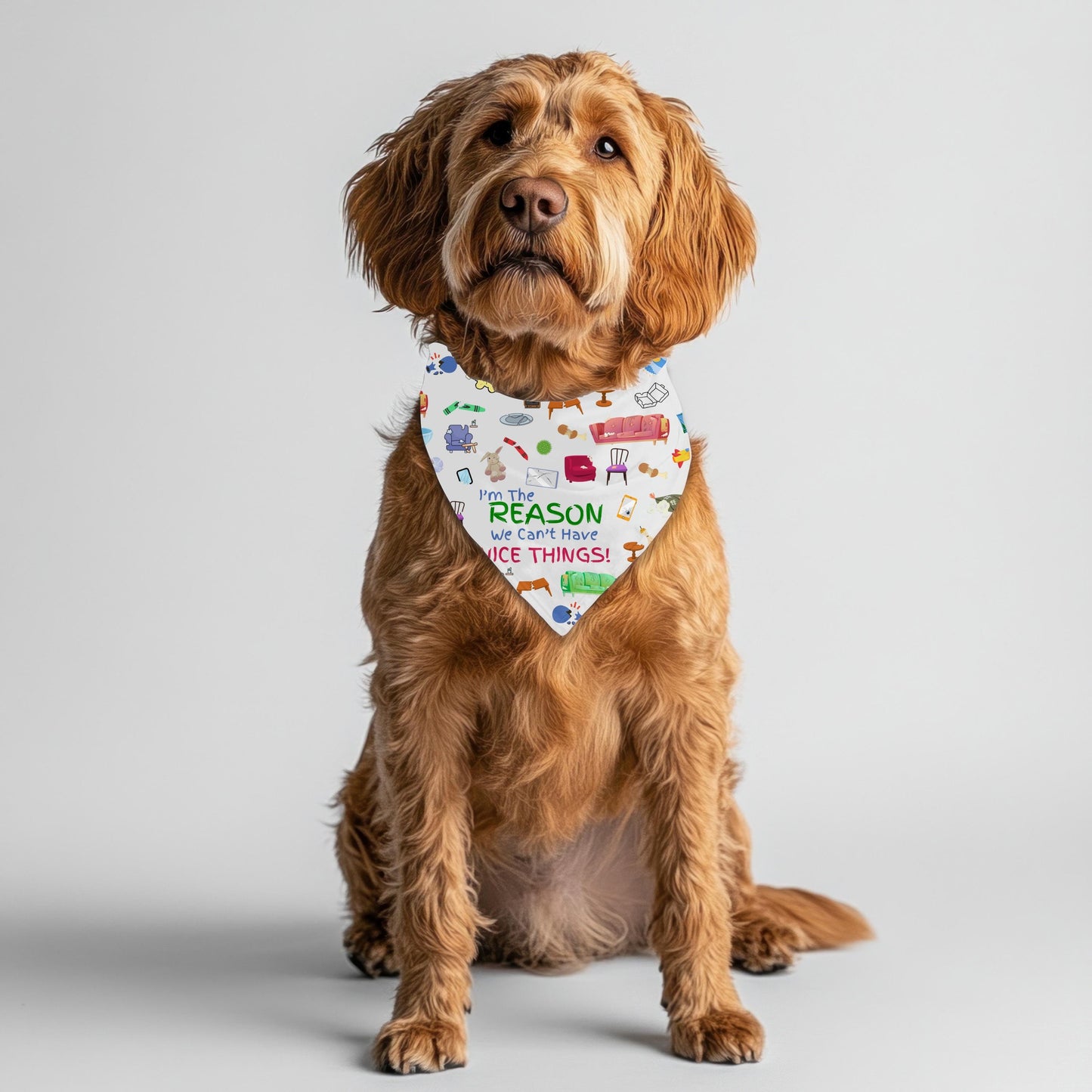 Bark in Style: Fun Bandana for Your Stylish Pup! Can’t Have Nice Things, I Woof You, Reversible Dog Bandana, Fun Bandana for Small Dogs,