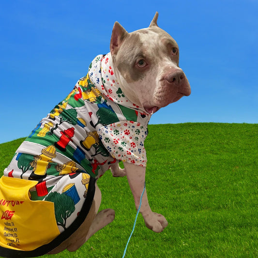 Unique Dog Hoodie: Fire Hydrants & Concert Tee Vibes, List of Sites for Concert or Favorite Places to Visit, Perfect Gift for Fathers day