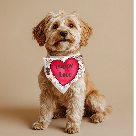 Puppy Love Bandana for Small Dogs - Reversible with Adorable Conversation Hearts
