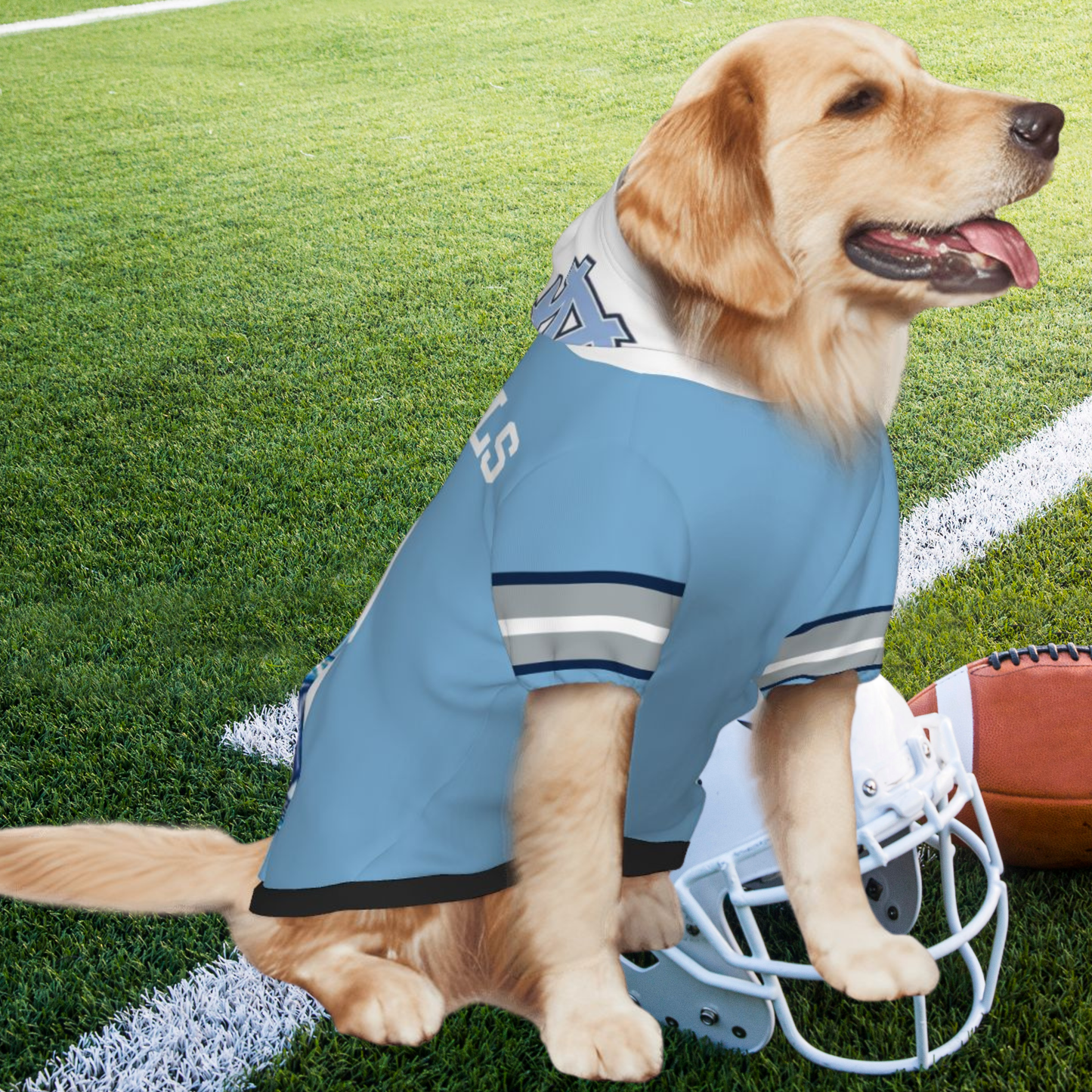 Tailgating Gem: Personalized North Carolina Tar Heels Sports Jerseys for Dogs & Cats