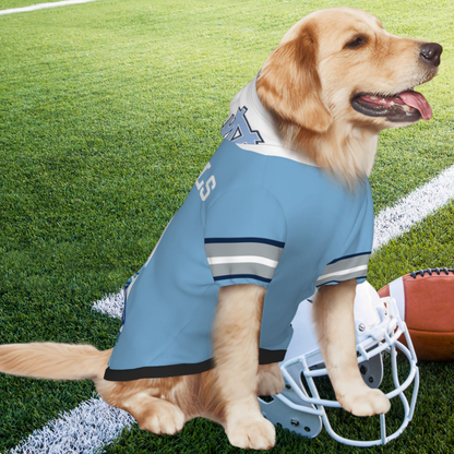 Tailgating Gem: Personalized North Carolina Tar Heels Sports Jerseys for Dogs & Cats