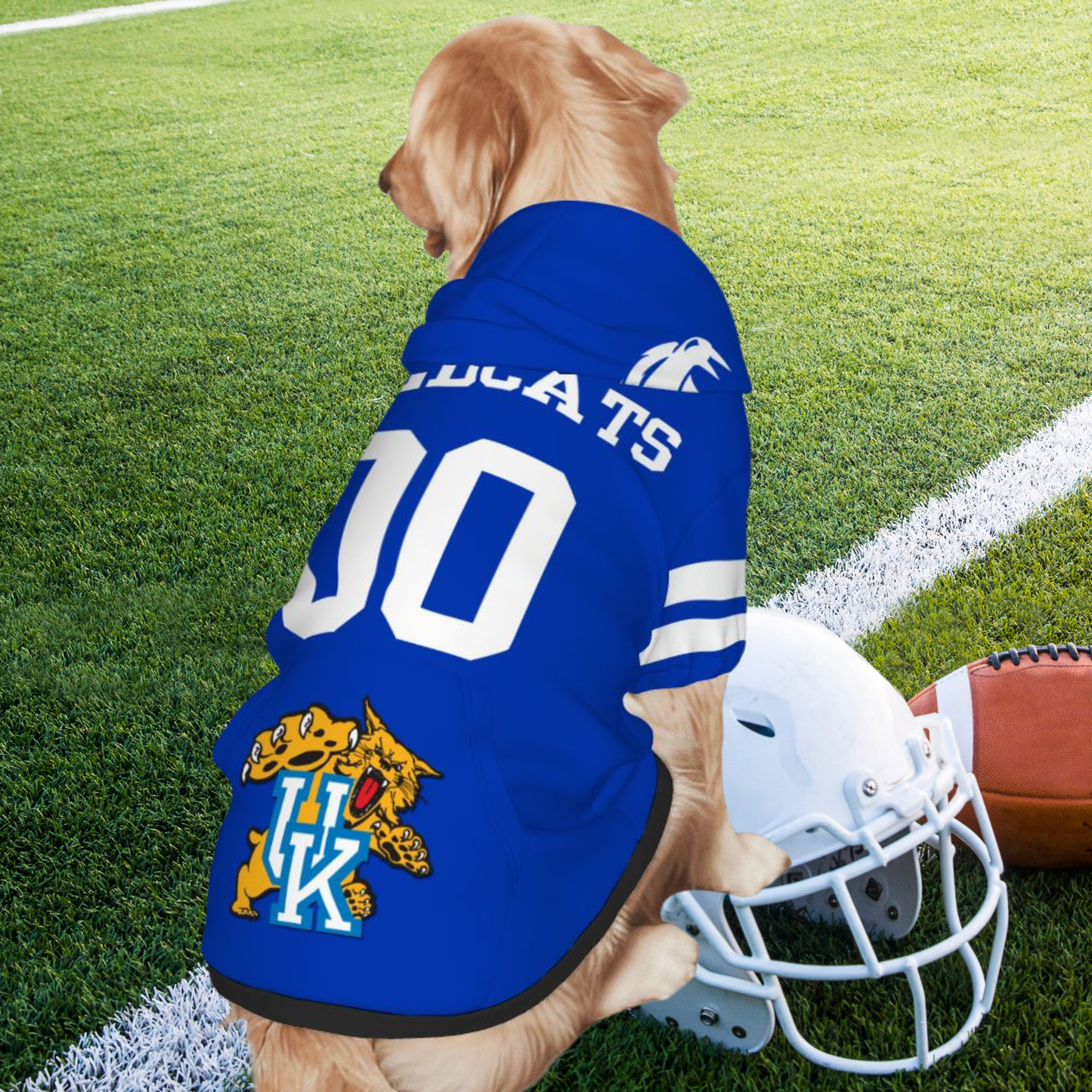 Bleed Blue? Dog Hoodie for Wildcats Fans - Personalized Jersey for Tailgating Fun, UK Wildcats, Your Furry BFF Needs a Jersey Too