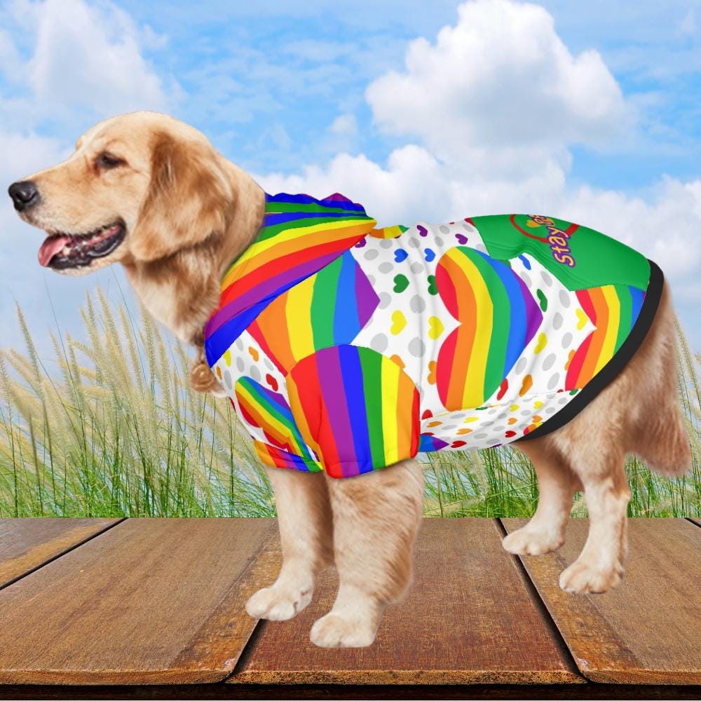 Stay Pawsitive Pride Dog Hoodie - Green Rainbow Hearts Pet Sweater, LGBTQ Dog Sweater, Dog Lovers Gift, Mothers Day Gift, Fathers Day gift