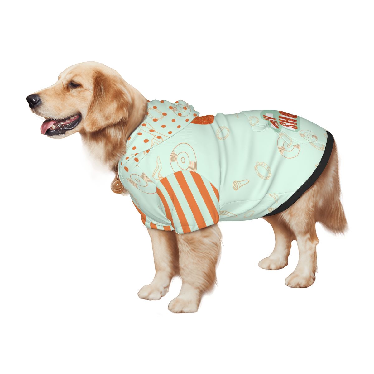 Showgirl Album Dog Hoodie , Teal & Orange Glitter Vinyl, Taylor Swift Inspired, Fashion from Taylors recent Album