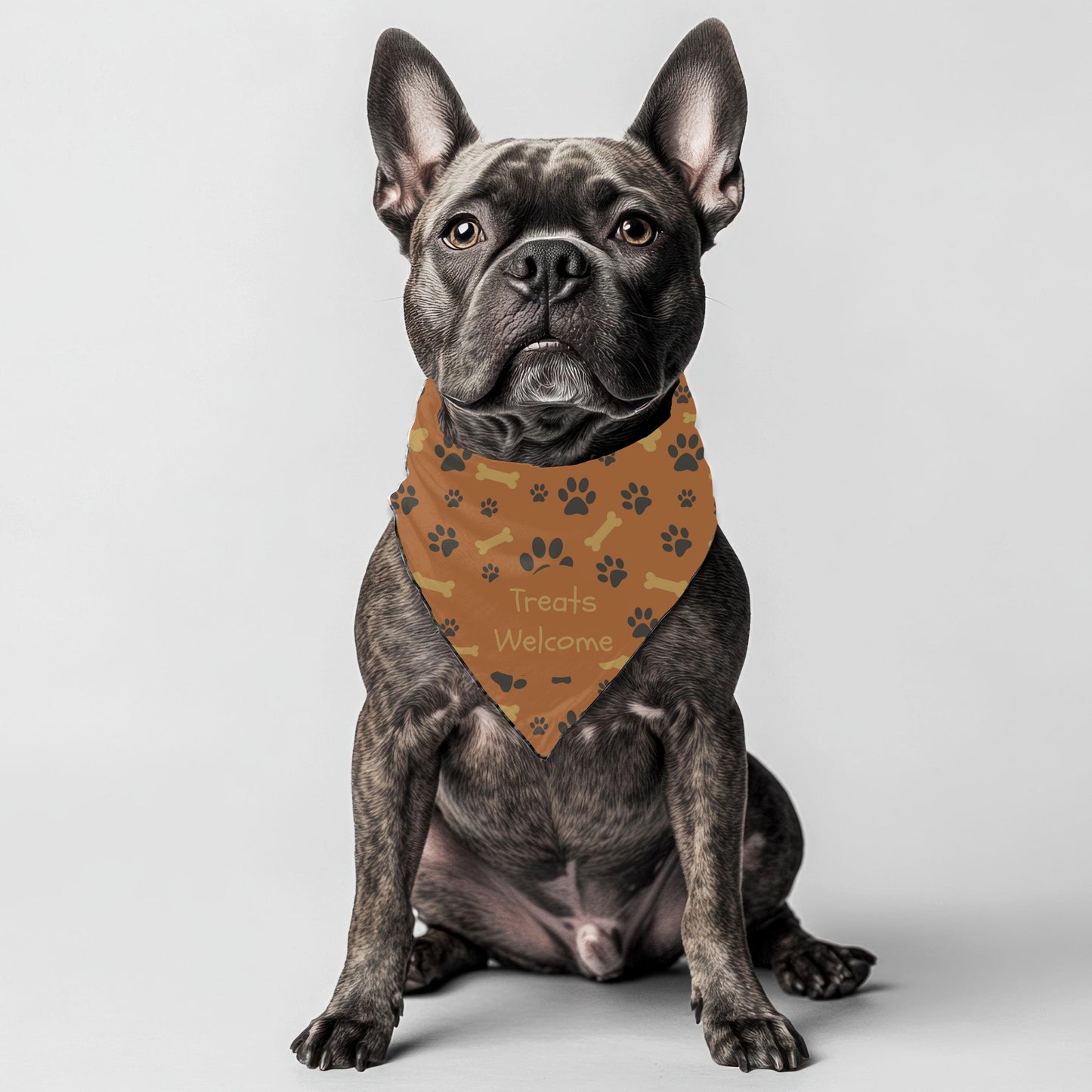 No Lying, I like Big Bones I Cannot Lie Cute Small Dog Bandana, Features Reversible to Treats Welcome, Perfect for Walks to the Cafe