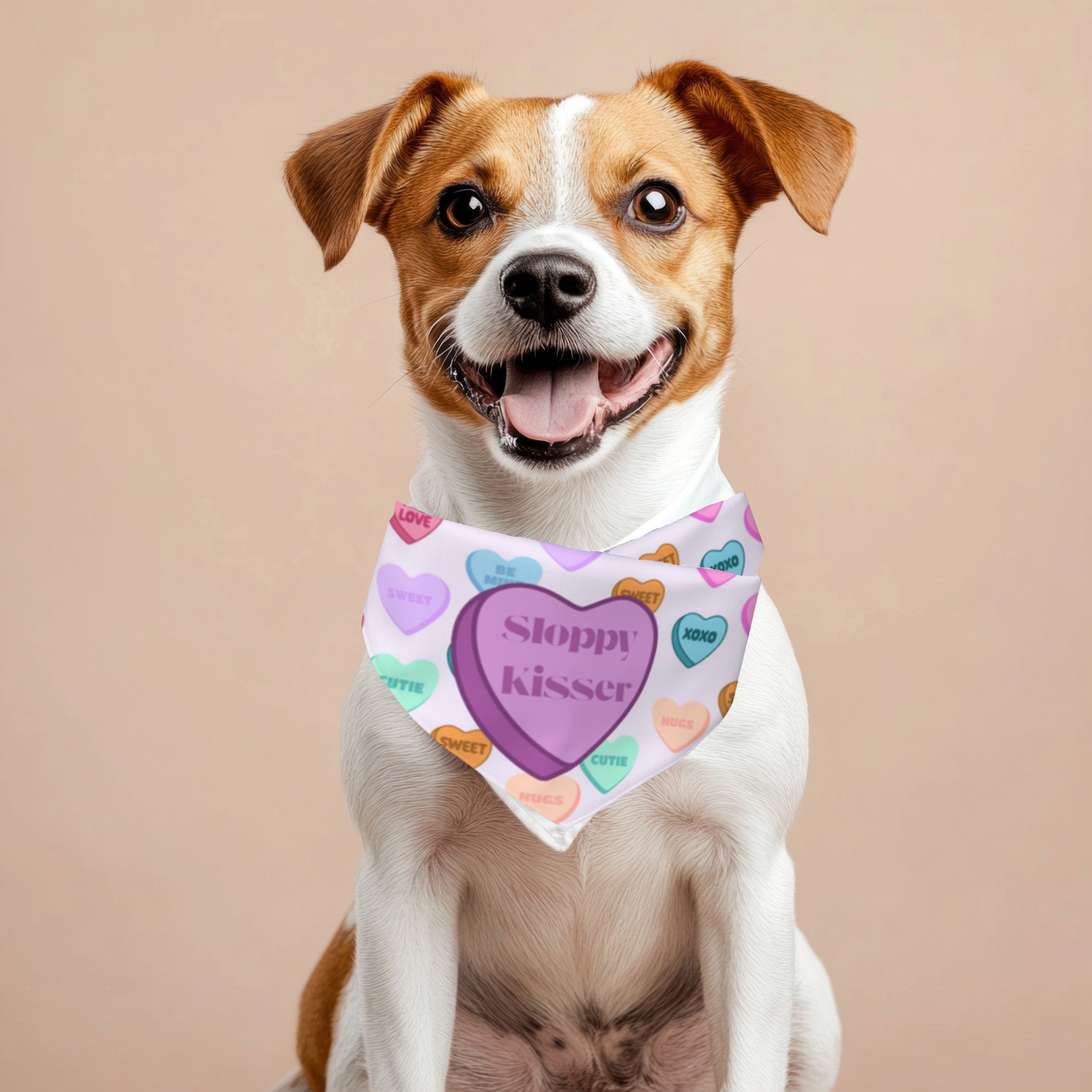 Puppy Love Bandana for Small Dogs - Reversible with Adorable Conversation Hearts