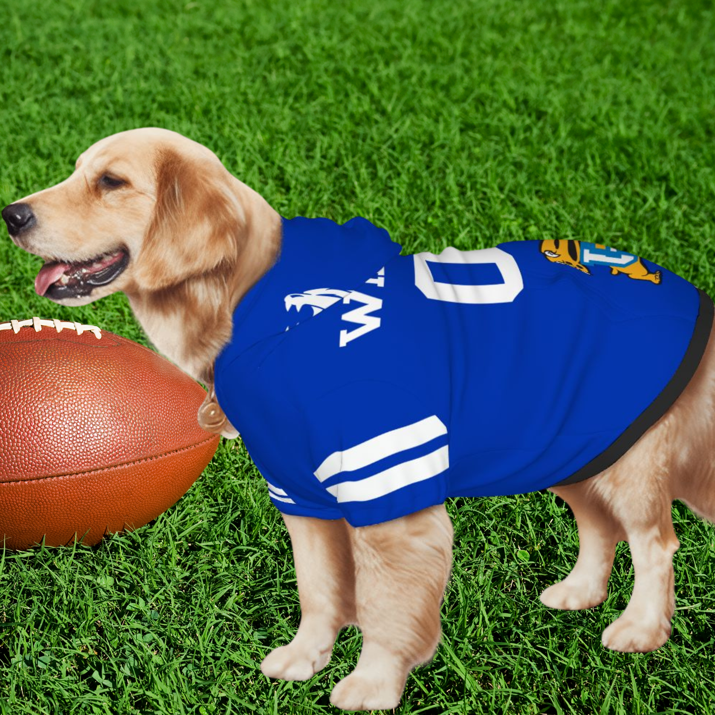 Bleed Blue? Dog Hoodie for Wildcats Fans - Personalized Jersey for Tailgating Fun, UK Wildcats, Your Furry BFF Needs a Jersey Too
