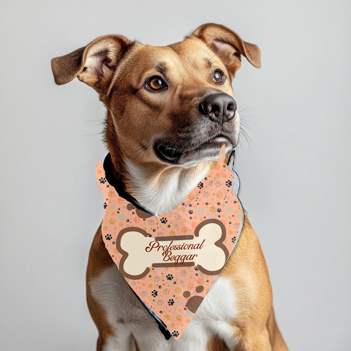 Funny Small Dog Bandana - Professional Beggar Design, Walking with My Paw-see fashion attire for the  Village, getting a Pup Cup, Must Have