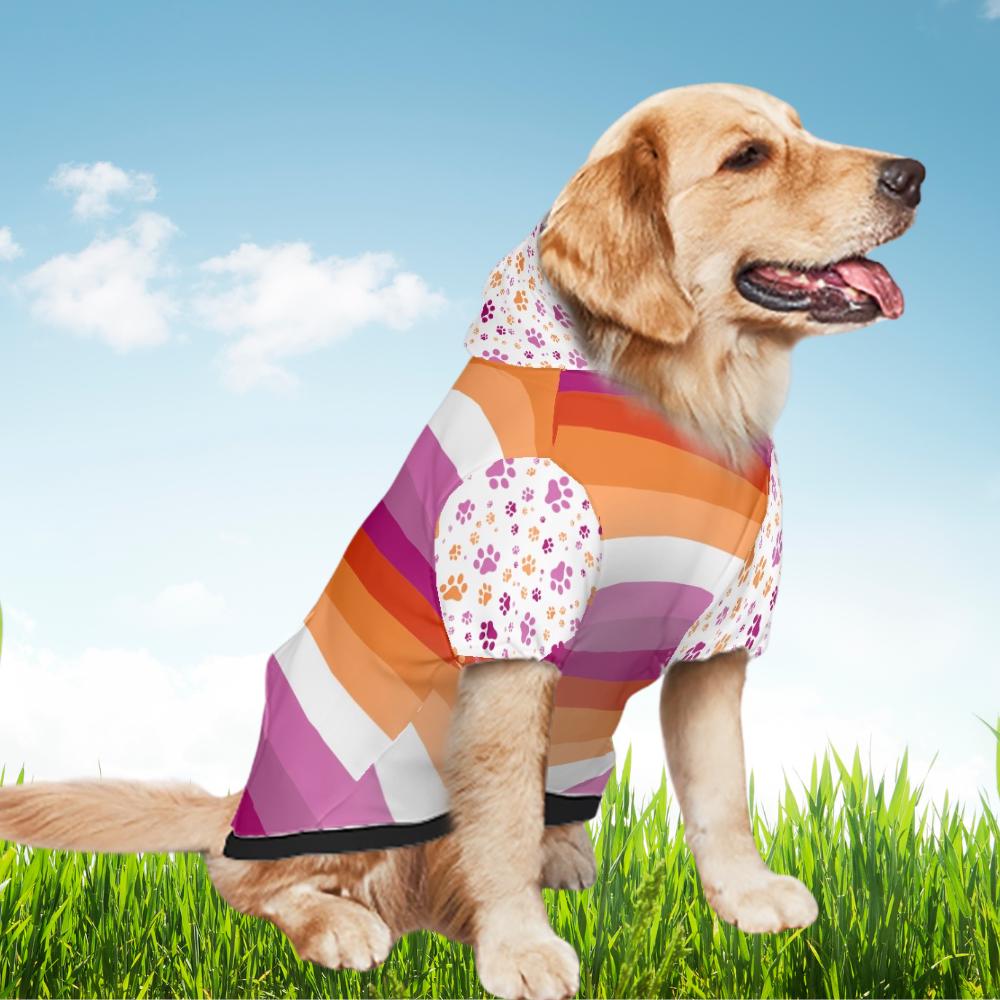 Lesbian Pride Flag Dog Hoodie, Custom Made Pet Apparel for LGBTQ+ Community, Lets Go Girls, Dog Lovers Gift , Mothers Day Gift, Fathers Day