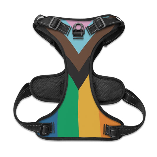 Dog & Cat Harness with Pride Flag | Leash & Walks | Love & Acceptance
