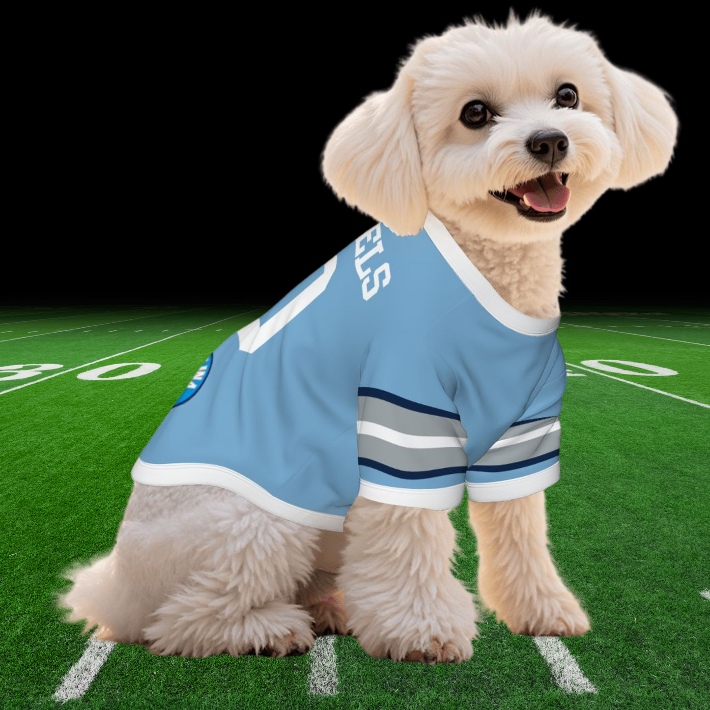 North Carolina Tar Heels Pet Jerseys - Customizable Game Day Gear for Dogs & Cats