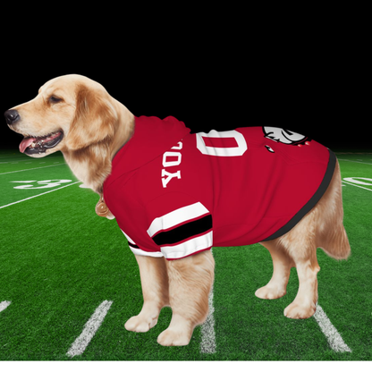 Tailgating Ready Georgia Bulldogs Hoodie for Dogs & Cats - Get Yours Now! Great Outfit for Your Furry BFF, A Must Have