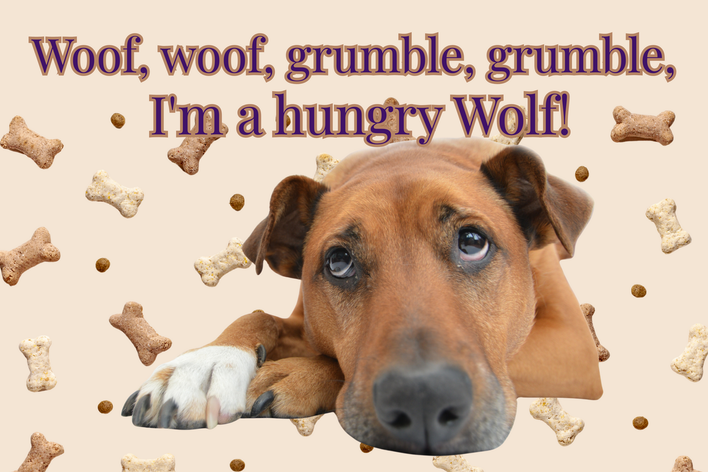 Funny Dog  Face Food Placemat - Food Mat to Keep Floors Clean, & Dog Choices, So FUN