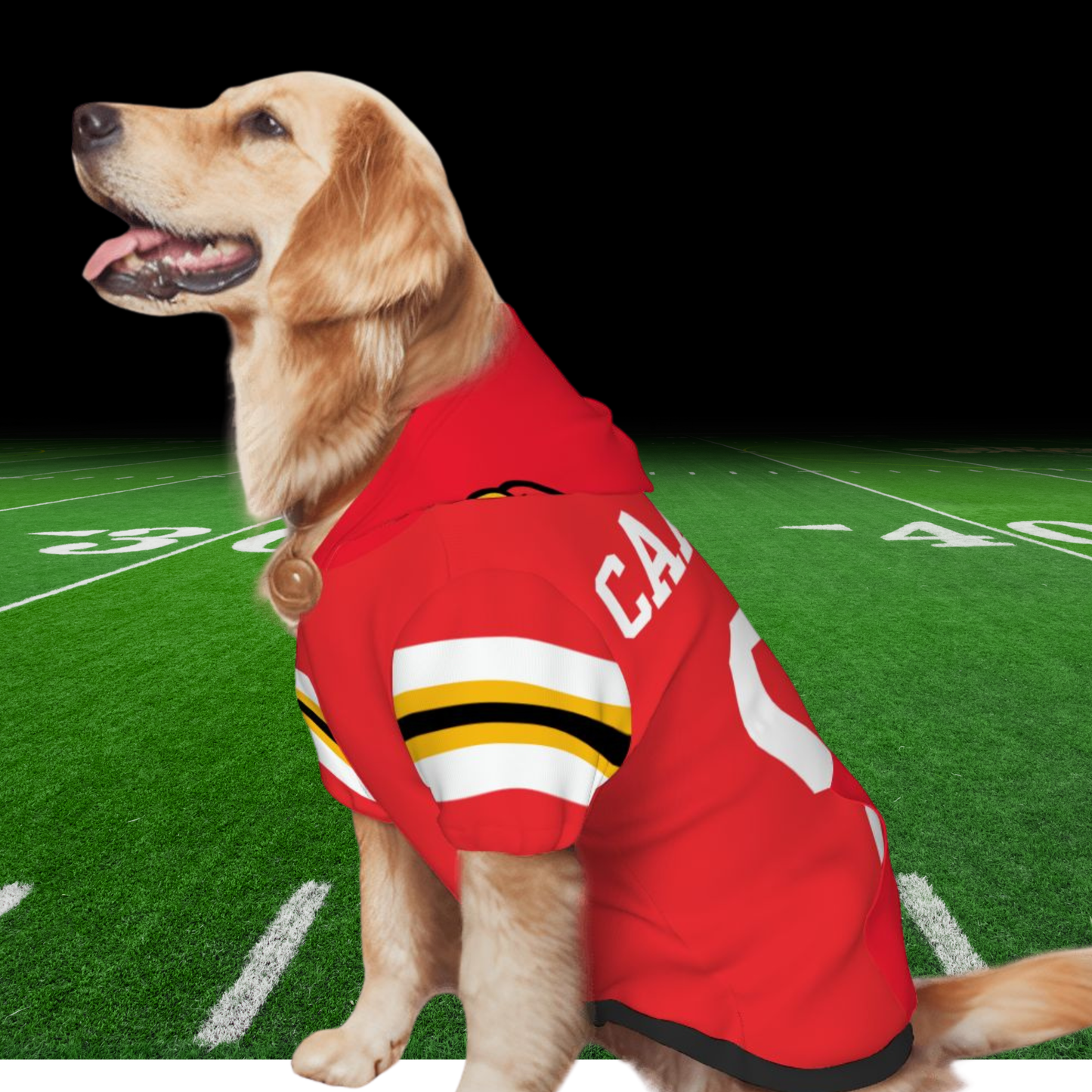 Louisville Cardinals Basketball Pet Hoodie, Red, CARDINALS or Personalize, Perfect Gift for Louisville Cardinal Basketball Fan