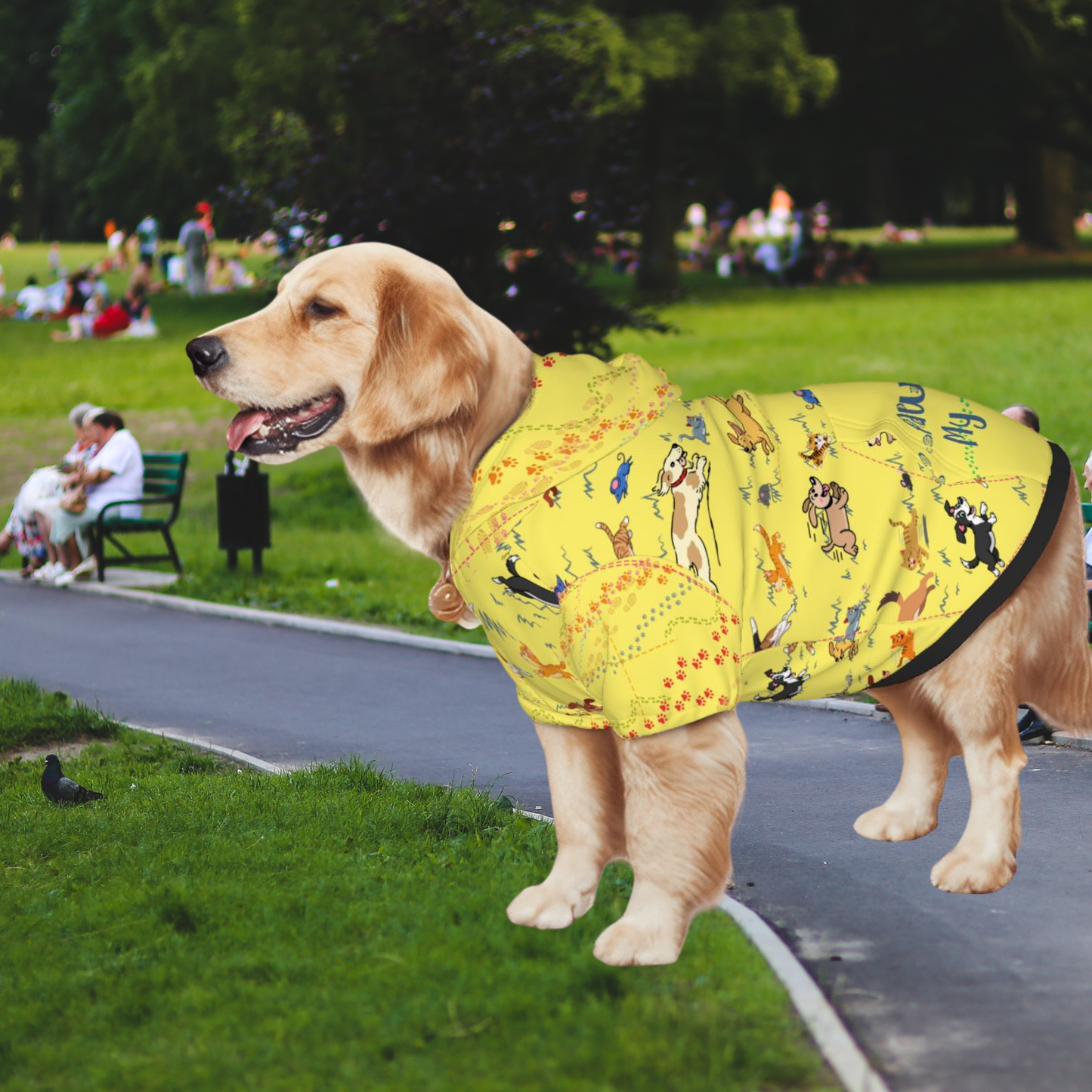 Spring is the Time To Get Into Shape and Take Your BFF on a Run,"My Pacesetter Has 4 Legs" A must Have in Yellow for Training