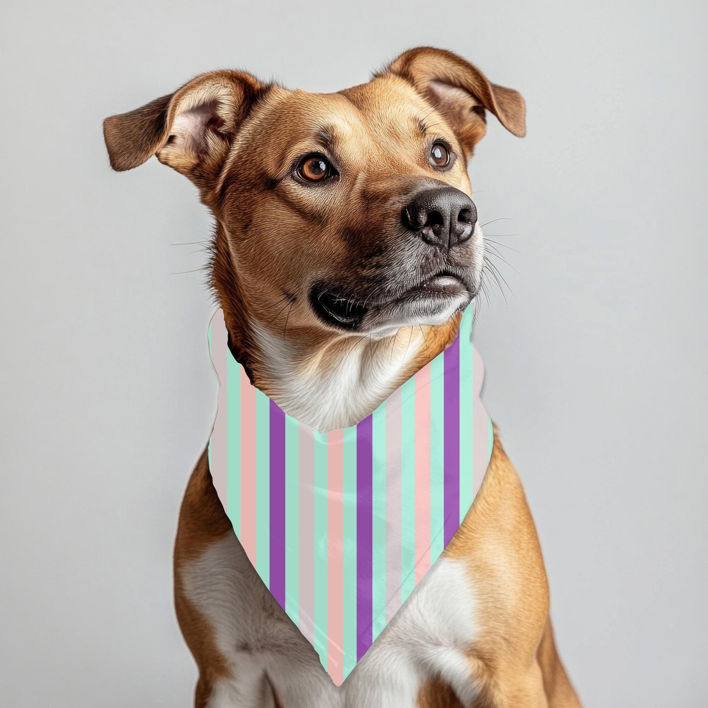 Dog Hair Don't Care Design, Funny Dog Bandana for Large Dogs, Great Dog Outfit for Walks to the Groomer or the Dog Park