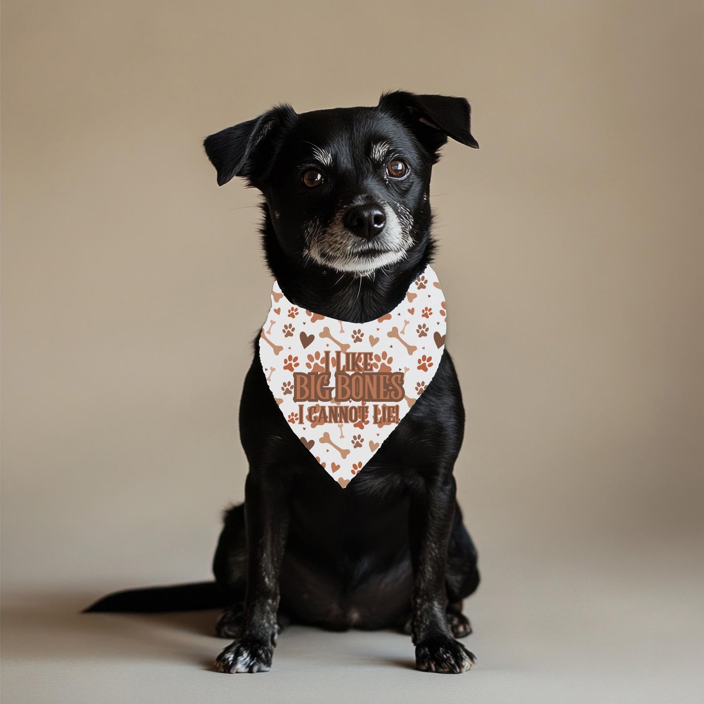 No Lying, I like Big Bones I Cannot Lie Cute Small Dog Bandana, Features Reversible to Treats Welcome, Perfect for Walks to the Cafe