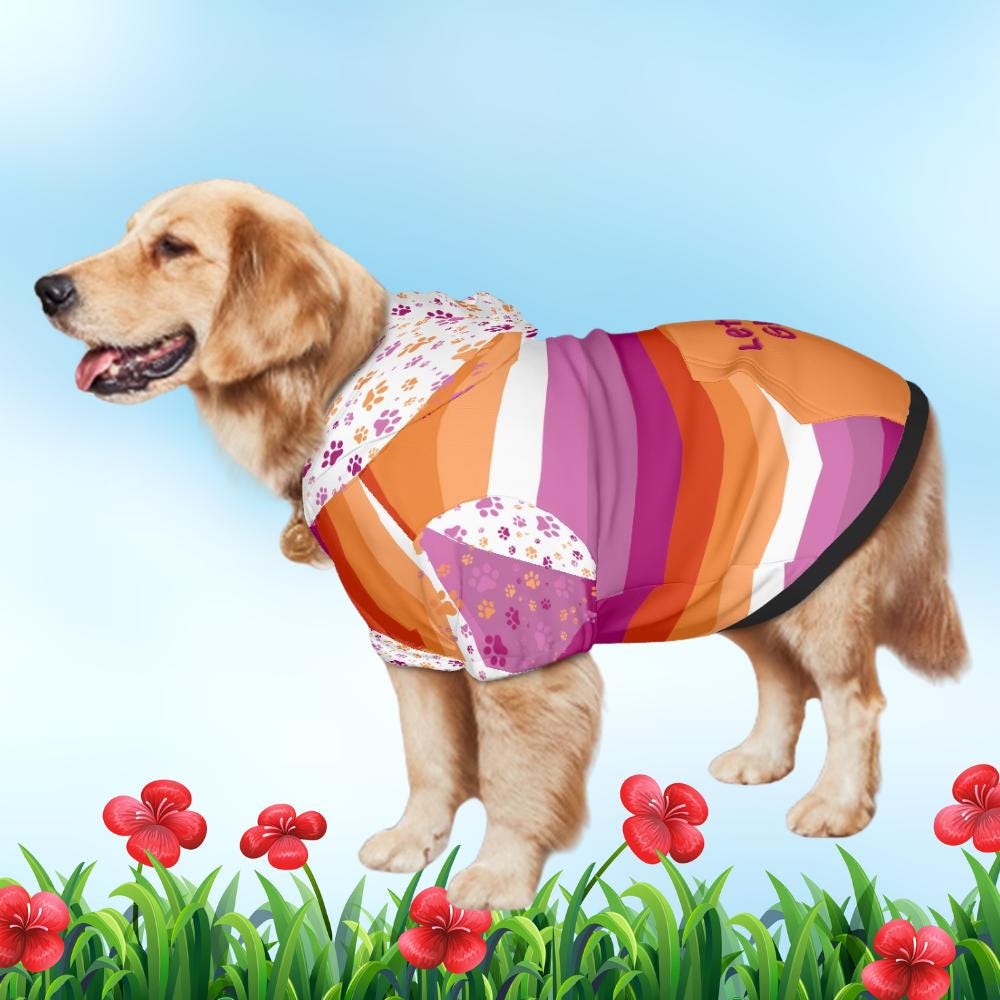 Lesbian Pride Flag Dog Hoodie, Custom Made Pet Apparel for LGBTQ+ Community, Lets Go Girls, Dog Lovers Gift , Mothers Day Gift, Fathers Day