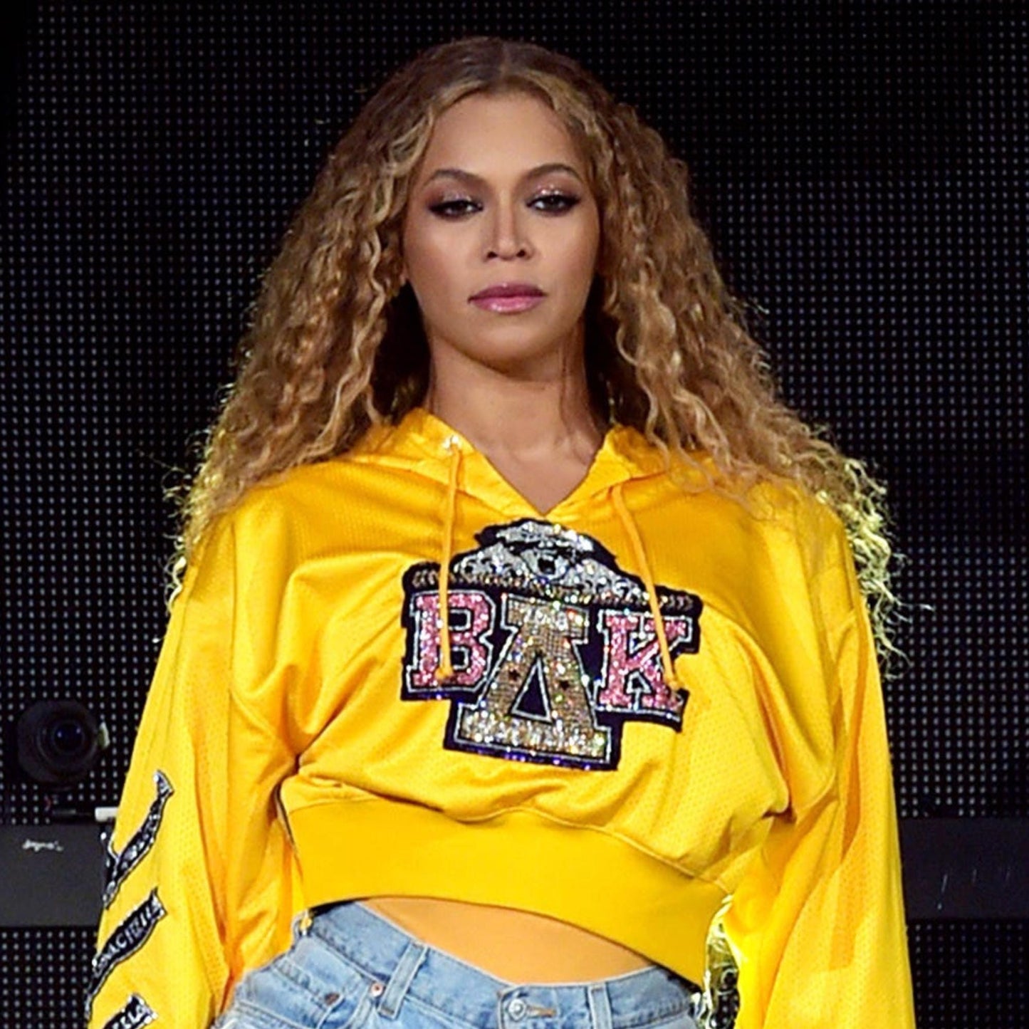 Thank You Beyonce Fashionable Yellow Hoodie Designed for Your Dog and Her next Concert Attire, Designed Yellow Hoodie of Beyonces