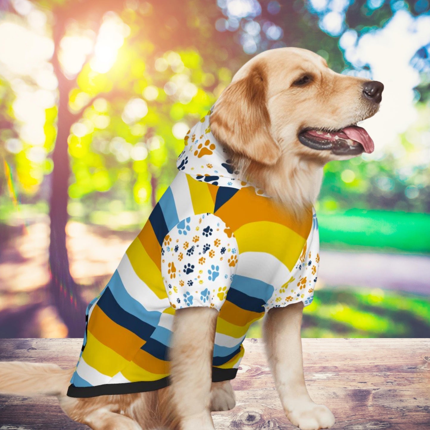 Unique Dog Hoodie with Aroace Pride Design, Dogs over Dating, Fun Cute Dog Outfit,  Great for Dog Park Outings