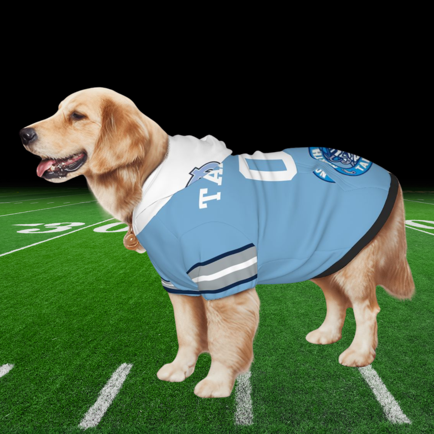 Tailgating Gem: Personalized North Carolina Tar Heels Sports Jerseys for Dogs & Cats