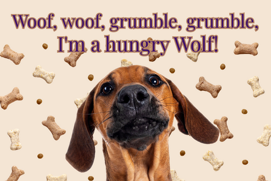 Pride Theme Dog & Cat Placemat - Food Mat to Keep Floors Clean, CUSTOMIZE With Your Dog Pic