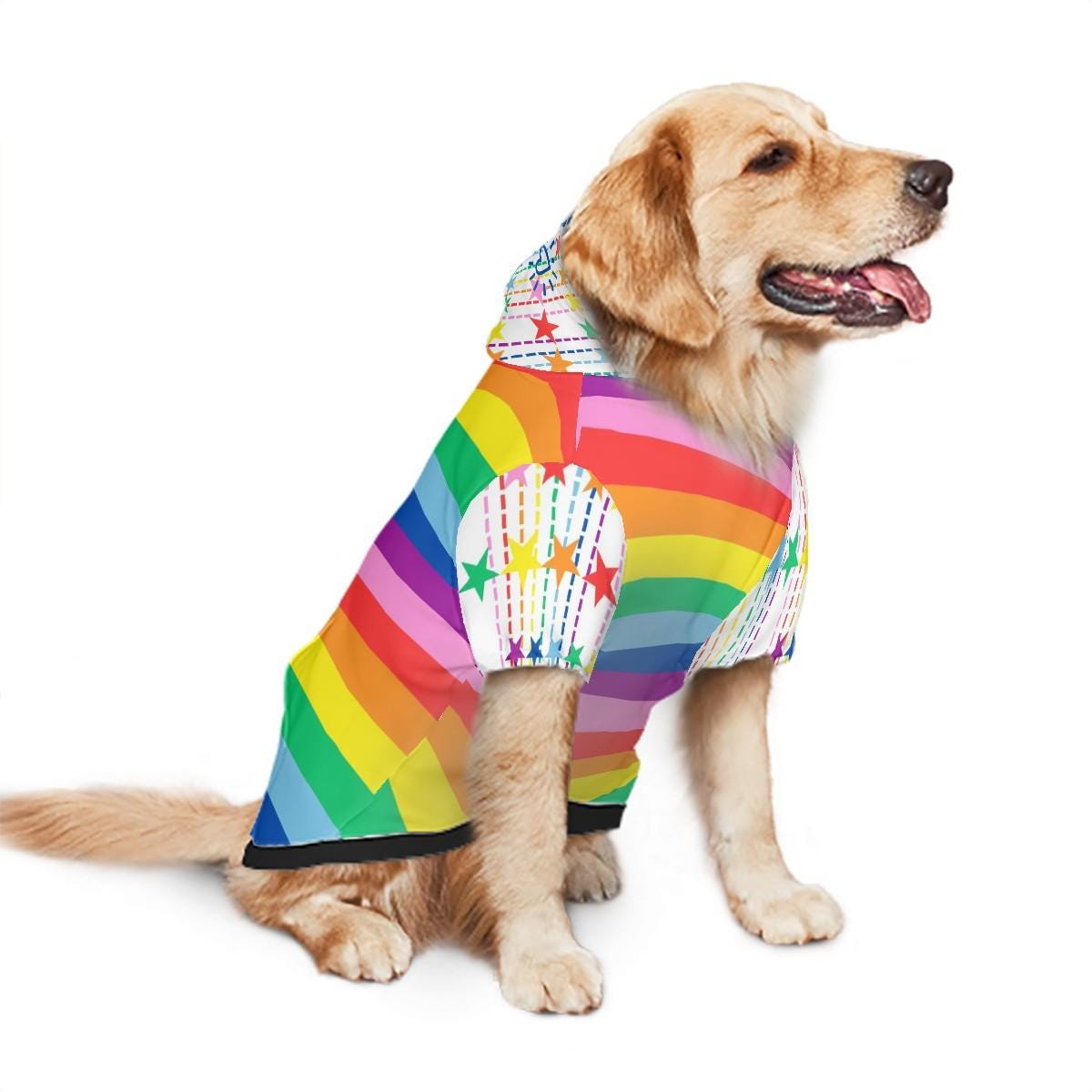 Diverse Pride Dog Hoodie - Rainbow Flag Pet Clothing Option, Dog Pride Hoodie, Hoodie size small to XXl