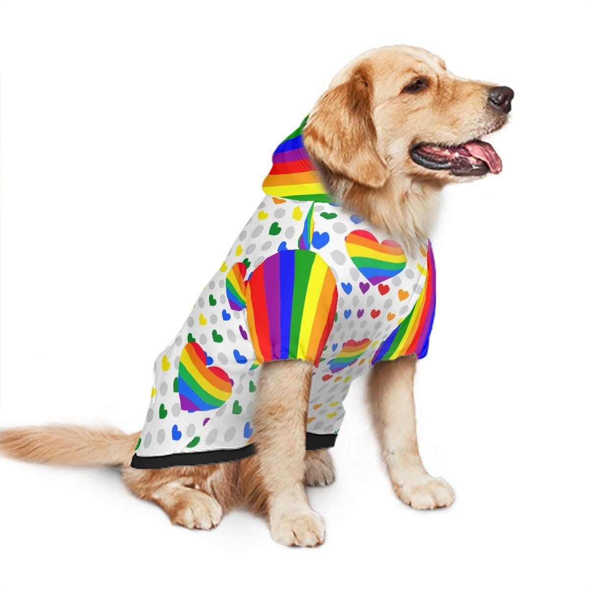 Celebrate Diversity with Pride Dog Hoodie, LGBTQ Pet Clothing, Sizes S - XXL, Great Gift for Pet Parents, gift for dog mom