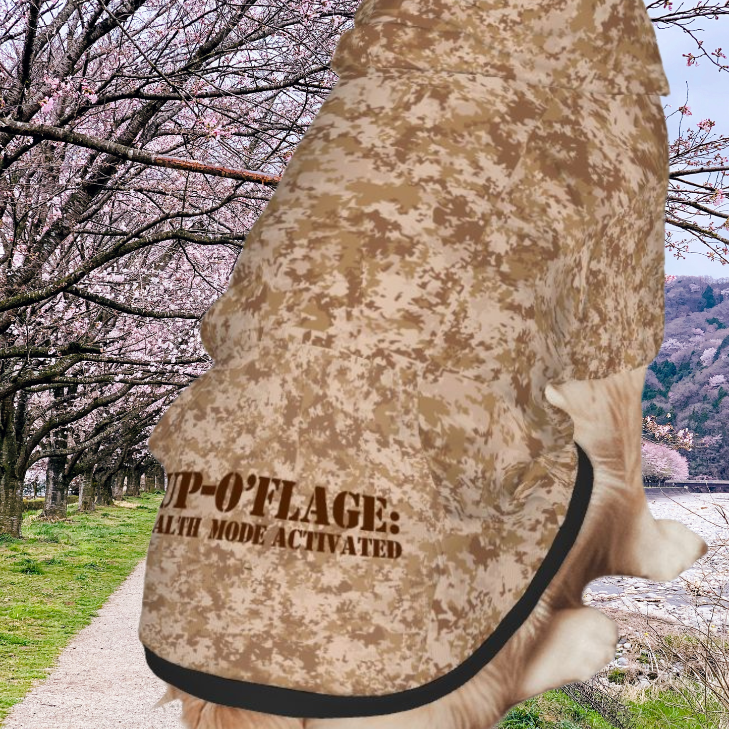 Military-Inspired Brown Camo Dog Hoodie - Stealth Mode Fashion