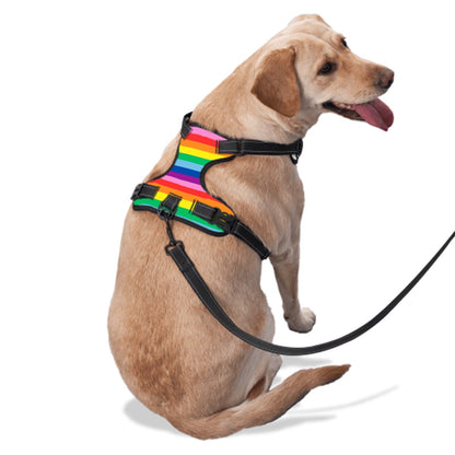 Pride Theme Dog Walking Harness | Original Pride Flag for Small to Large Dogs