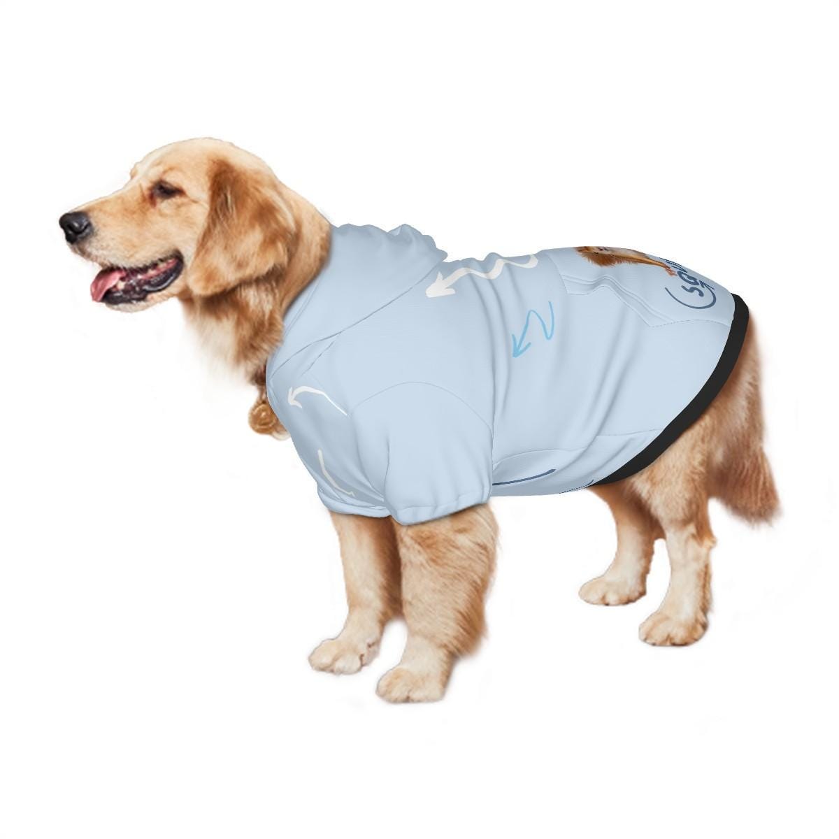 Squirrel, squirrel, always looking for squirrels, This is a great hoodie for the Park for that ADHD Dog, Comes in Sizes Small Through XXL