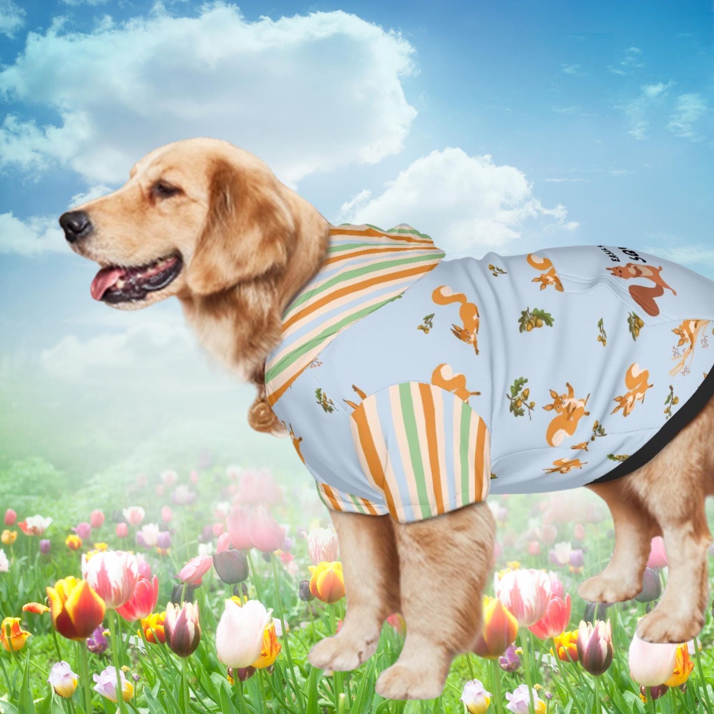 Custom Blue Dog Hoodie with Distracted by Squirrels Design, Dog Lover Gift, Perfect Outfit for A Ride or Walk in the Park