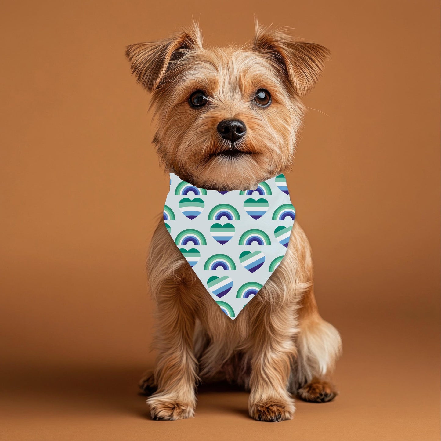 Small Dog Gay Pride Flag for Boys Who Love Boys, Fun Bandana to Wear to Pride and the Dog Park, Fashionable, Boys Who Love Boys Fashion