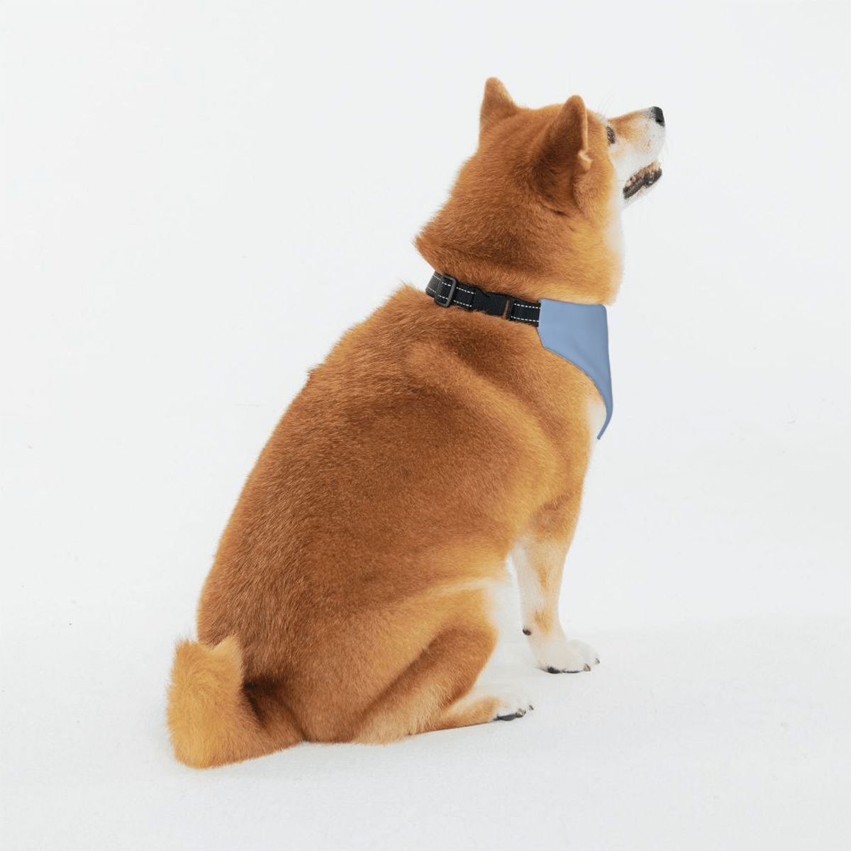 Custom Small Business Pet Bandanas for Business Ads - Inquire via Email!