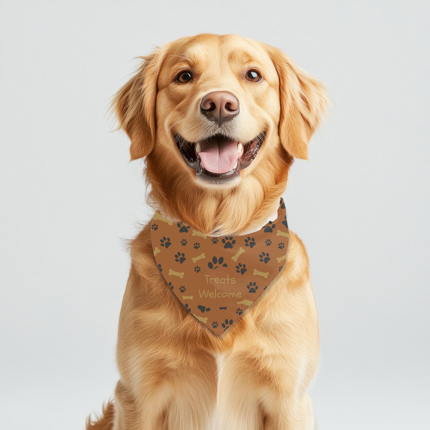 I like Big Bones, I cannot Lie. Large Dog Bandana, Reversible to Treats Welcome, Custom Dog Bandana, Perfect for Dog Park Fun