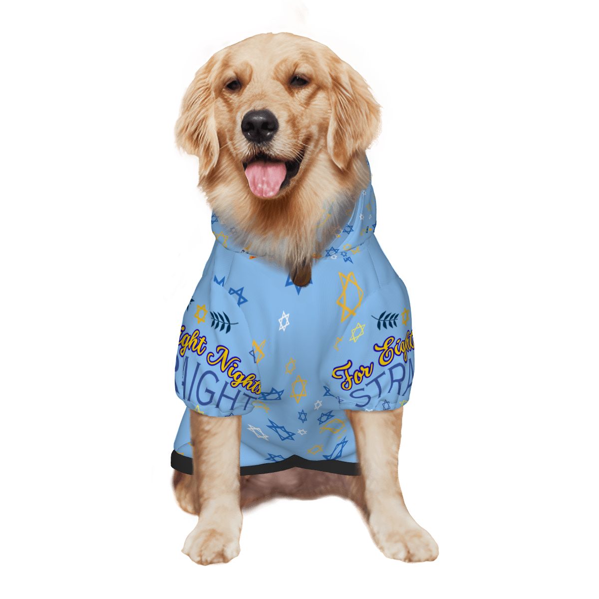 Celebrate Hanukkah with Your Pup, Get Lit Dog Hoodie in Ugly Sweater Style, Get Lit for 8 Straight Nights