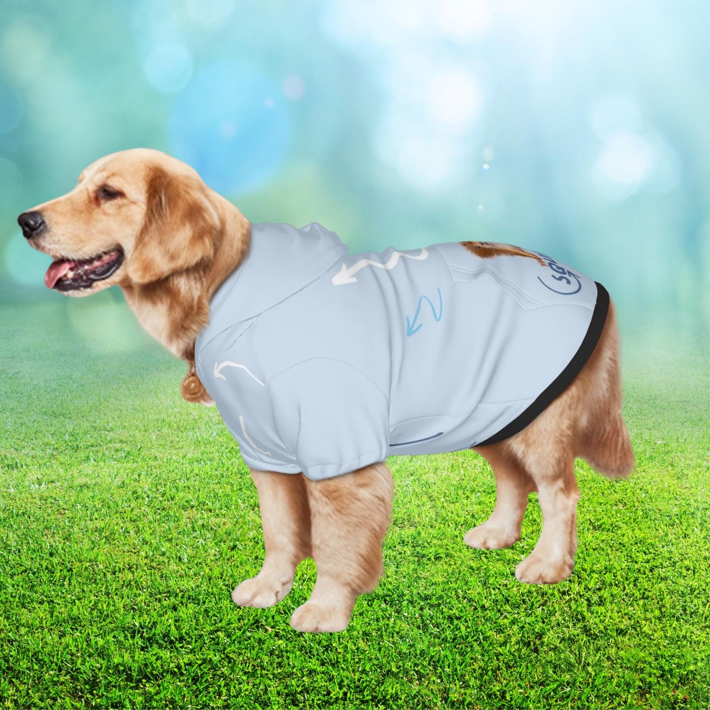 Squirrel, squirrel, always looking for squirrels, This is a great hoodie for the Park for that ADHD Dog, Comes in Sizes Small Through XXL