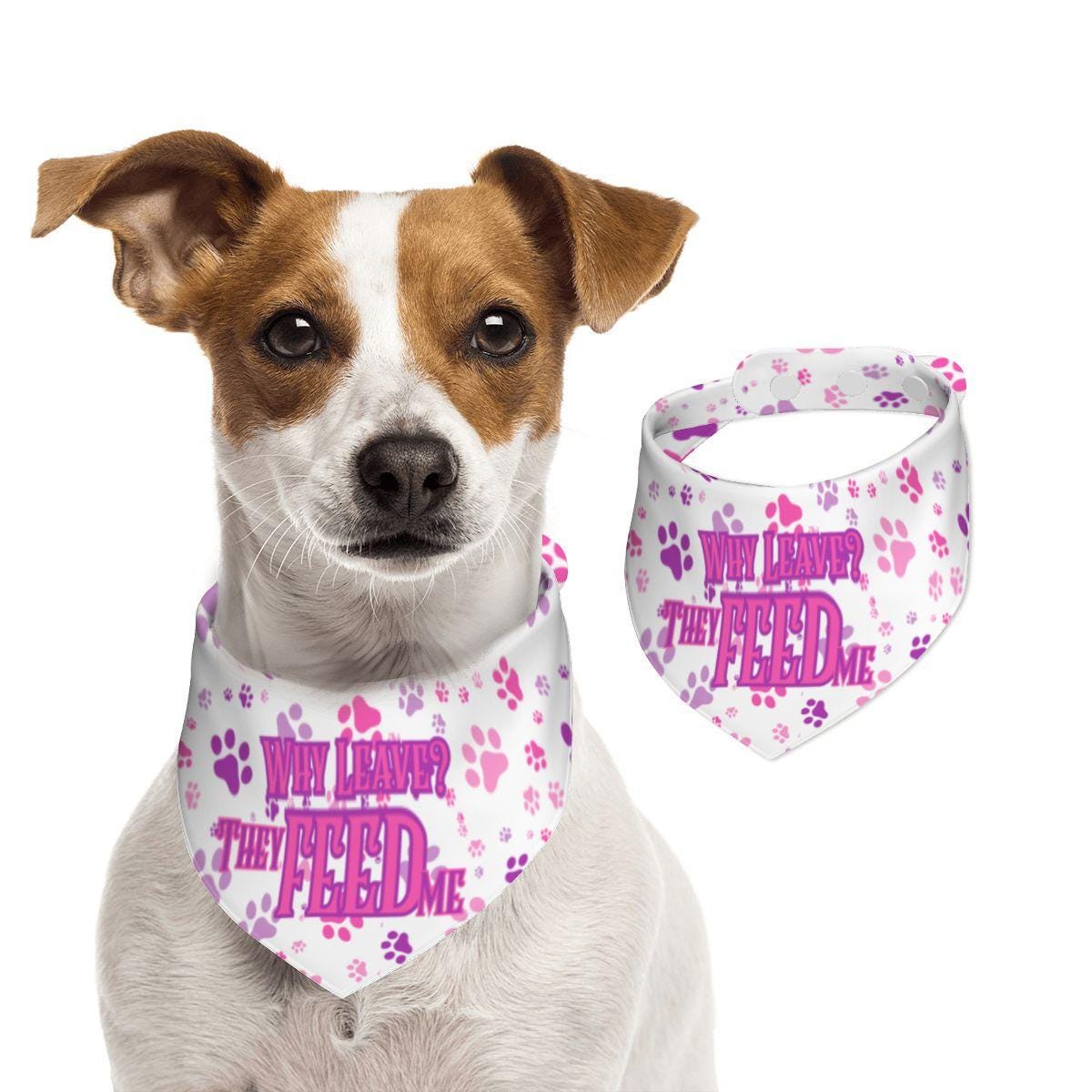 I Still Live With My Parents, They Feed Me, Pink and Purple Paws Cat Bandana - Fun Pet Neckwear, Fashionable Cat Wear,