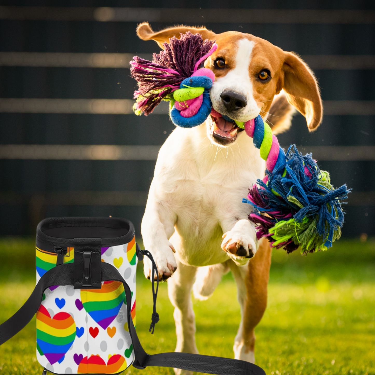 Fun & Functional Pet Treat Carrier   My Favorite Design, Pride Rainbow Hearts, No Spill Design with Convenient Long Strap!