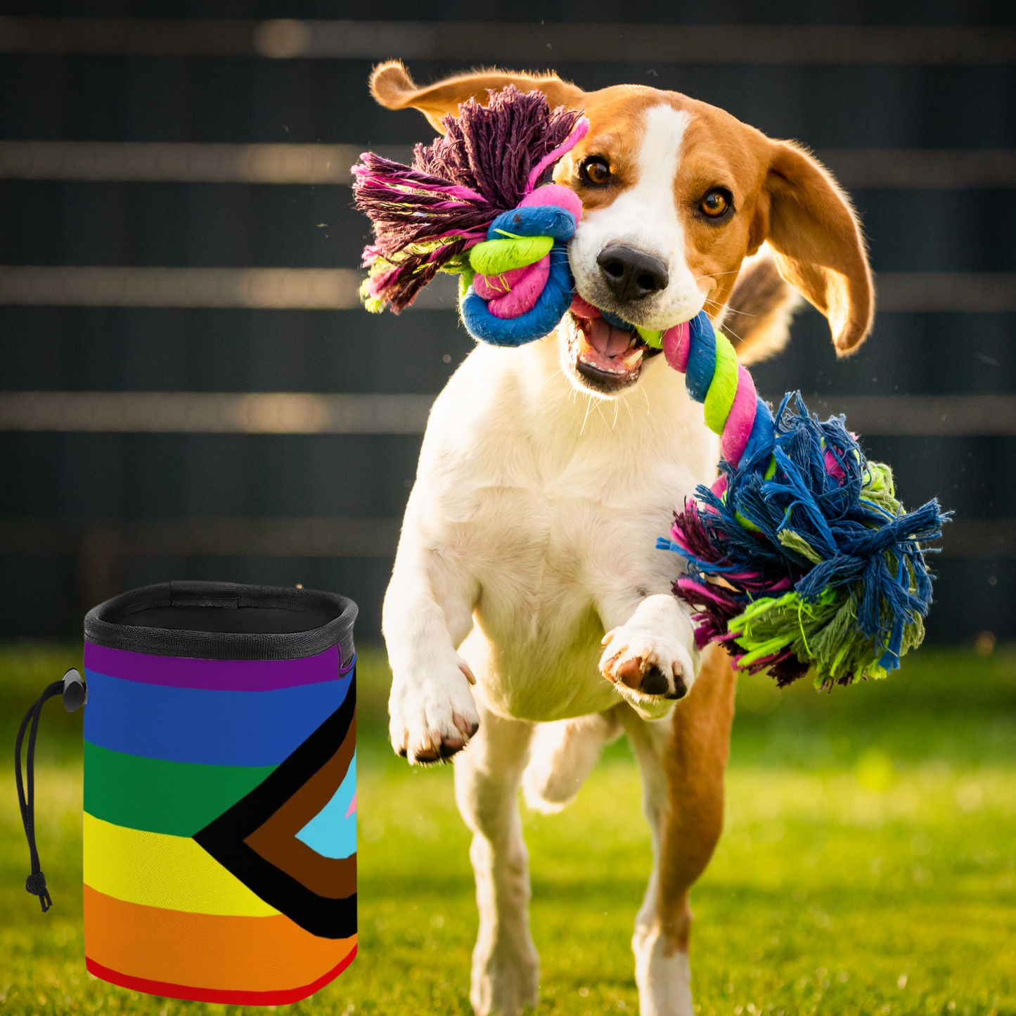 Gay Dog?  Over here, Prime Theme Pet Treat Carrier with Long Strap - Perfect for On-the-Go