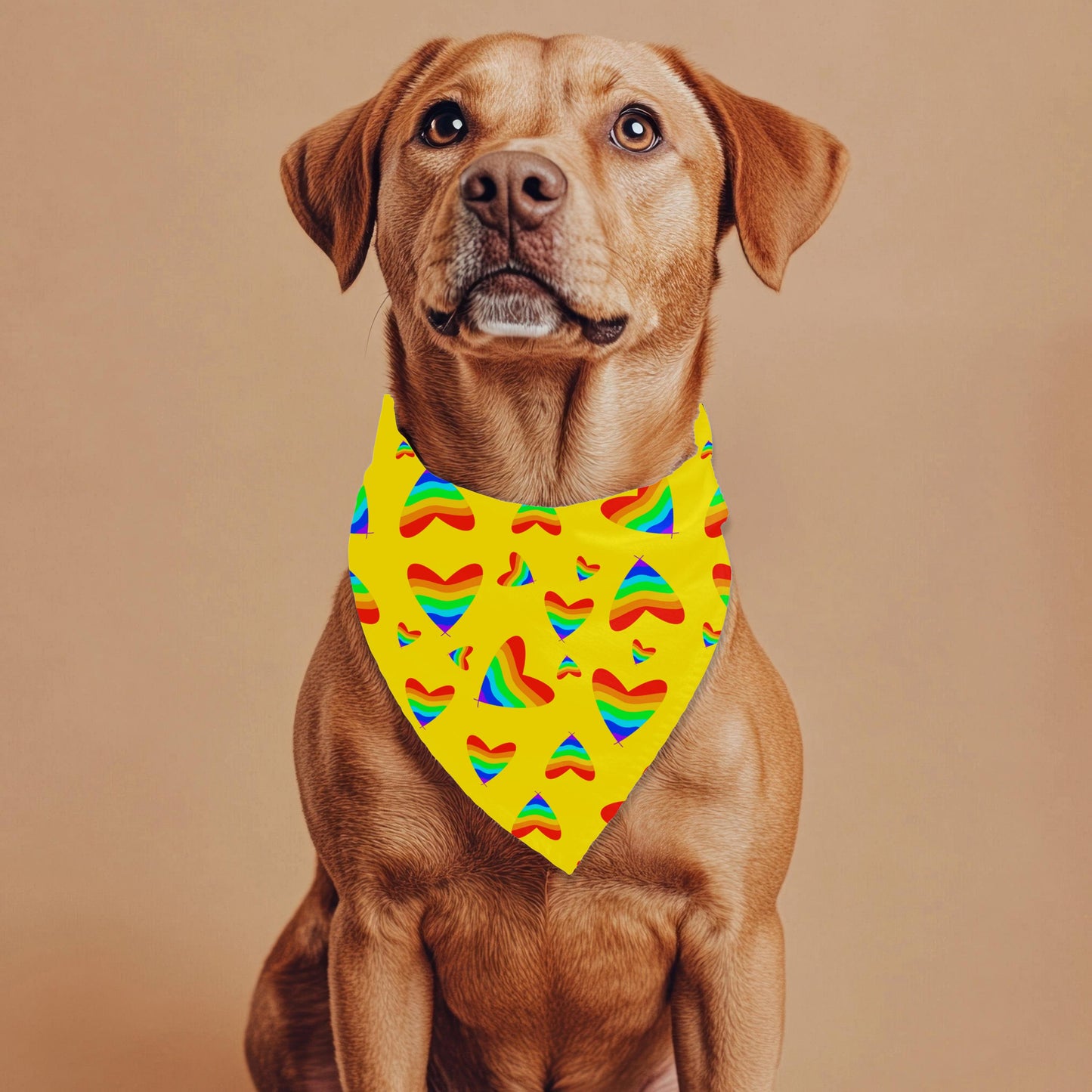 Small Dog Pride Pet Bandana, Fashionable Dog Bandana, Great Fashion for Walks in the Dog Park and to get a Pup Cup, A Must Have