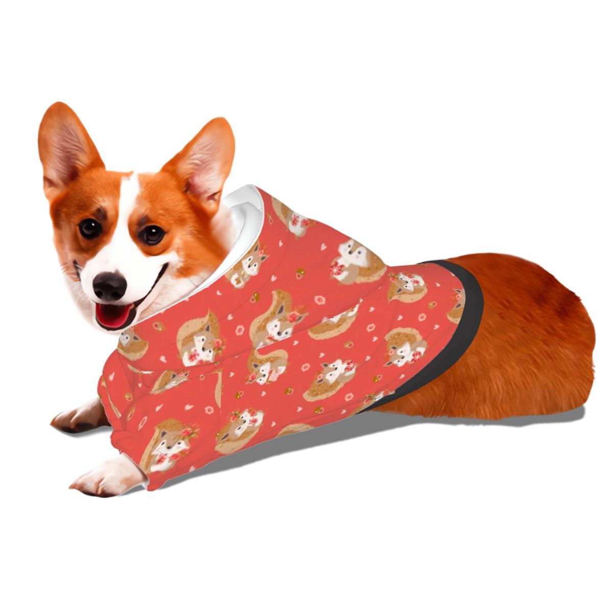 Pretty Girl Squirrel Sweater, Small Dog Hoodie Pet Clothes, Fashionable Dog Clothes to wear to the Shop or the Dog Park, Fathers day gift