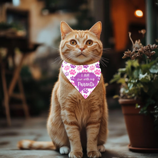 I Still Live With My Parents, They Feed Me, Pink and Purple Paws Cat Bandana - Fun Pet Neckwear, Fashionable Cat Wear,