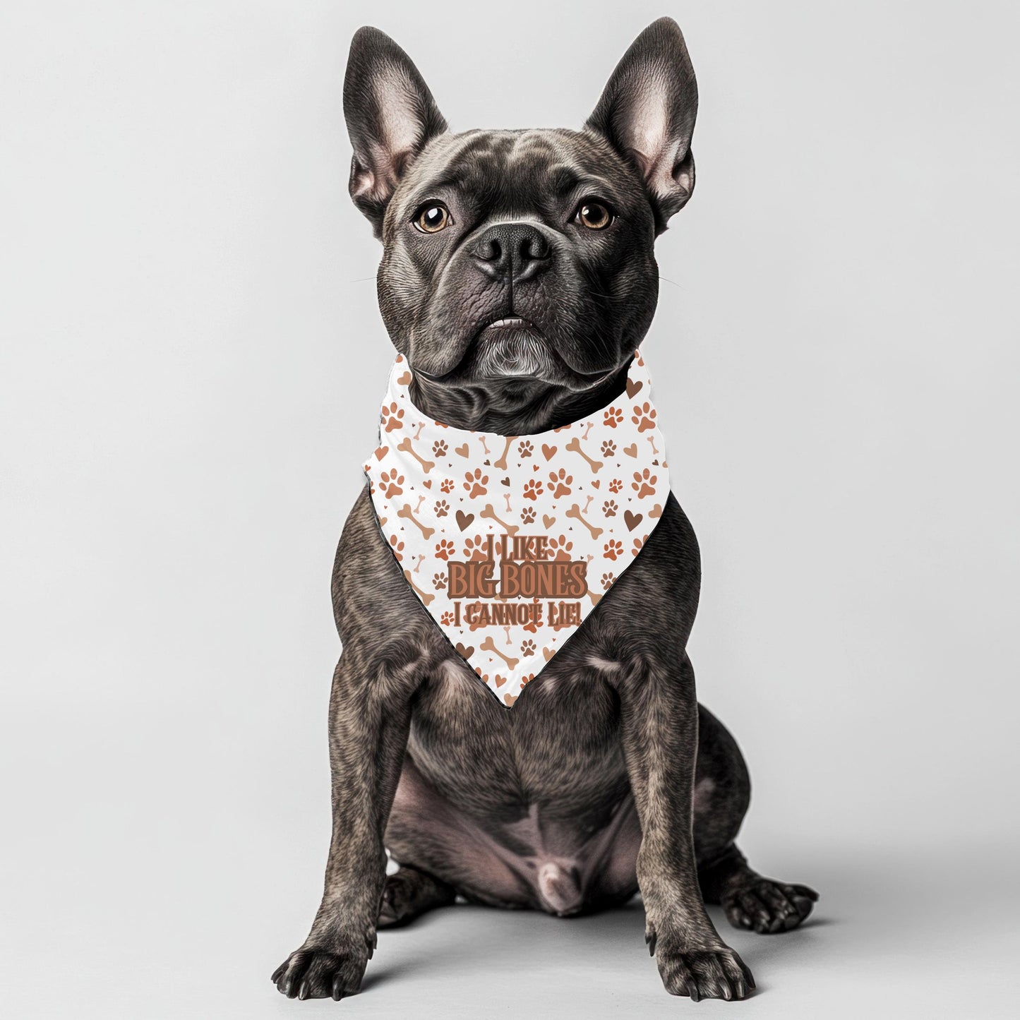 No Lying, I like Big Bones I Cannot Lie Cute Small Dog Bandana, Features Reversible to Treats Welcome, Perfect for Walks to the Cafe