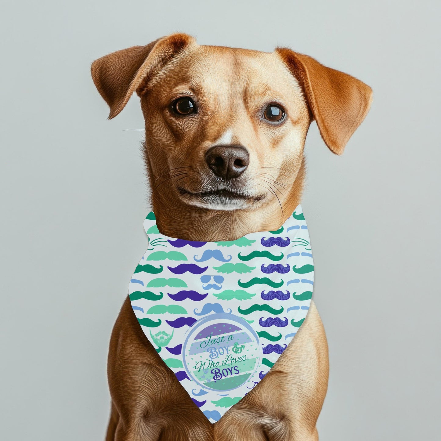 Small Dog Gay Pride Flag for Boys Who Love Boys, Fun Bandana to Wear to Pride and the Dog Park, Fashionable, Boys Who Love Boys Fashion