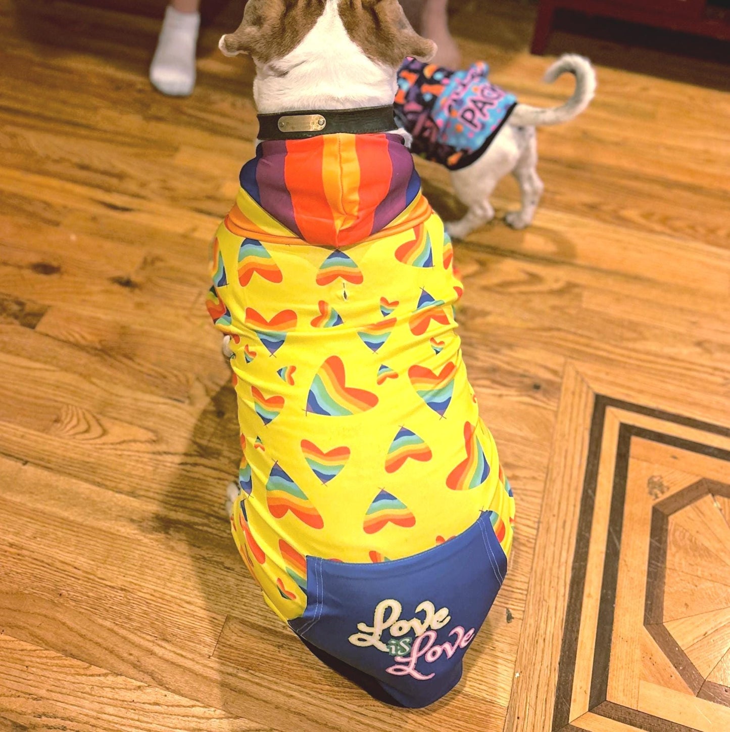 Love is Love Dog Hoodie with Pride Hearts in Rainbow Colors, Perfect gift for Dog Lover Friendd, Great for PRIDE PARADE