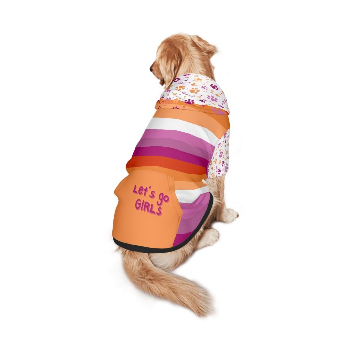Lesbian Pride Flag Dog Hoodie, Custom Made Pet Apparel for LGBTQ+ Community, Lets Go Girls, Dog Lovers Gift , Mothers Day Gift, Fathers Day