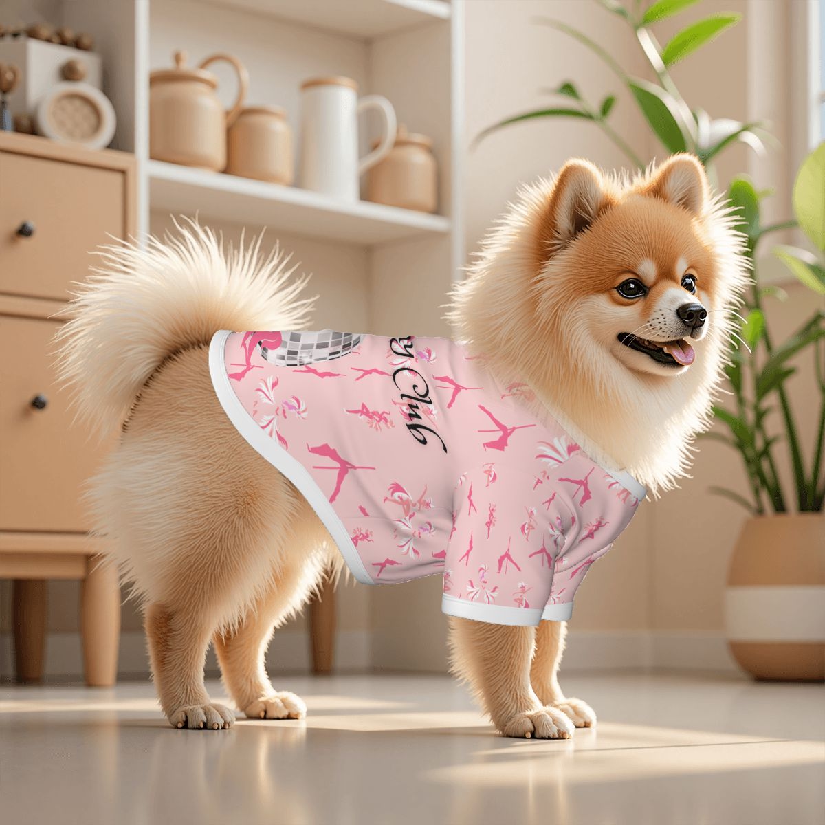 Pink Pony Club Dog Hoodie with Pink Disco Ball Charm, Chappell Roan Song, Trending